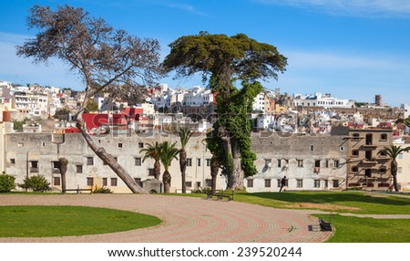 Jardins de La Mendoubia. Street view with old trees of Place du 9 Avril 1947. Tangier, Morocco Royalty-Free Stock Photo #239520244