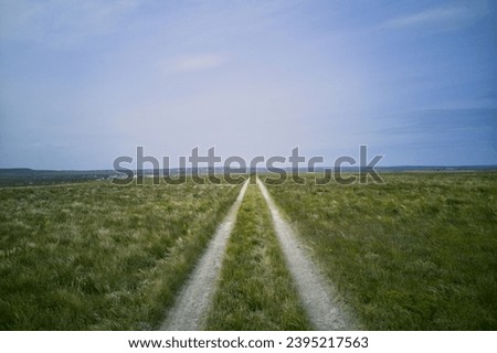 Dirt road in the Volgograd steppe, Volgograd region of Russia Royalty-Free Stock Photo #2395217563