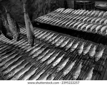 Photo view of sea ocena fishes put flat side by side on a metal grid to get naturally dry with the sun and wind to keep the food for longer and sale at the market for other people to buy