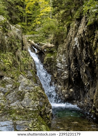 Waterfall in the Maria Valley ( Valea Mariii ) gorge, Hunedoara county, Romania