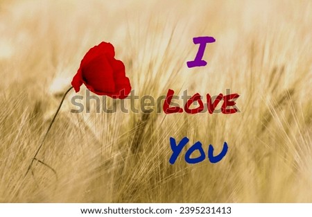 Love background. I love you images . hearts.  I love you backgrounds love photos heart wallpaper