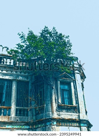 photo of kinmen old mansion taiwan