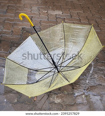 Transparent yellow umbrella with raindrops on paving blocks