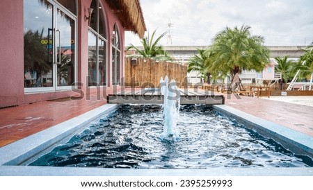 Picture of a small, bright blue fountain basin. with a small bridge passing through The fountain basin is located in front of the brown brick building. with a door made of glass and roofing with natur