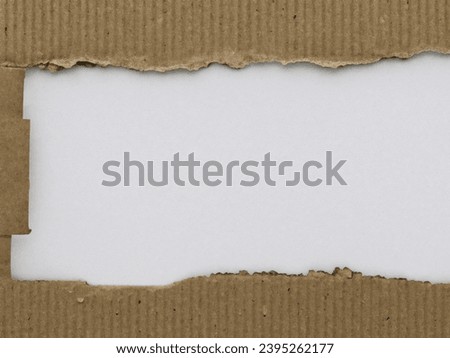 torn cardboard texture with white ripped edges