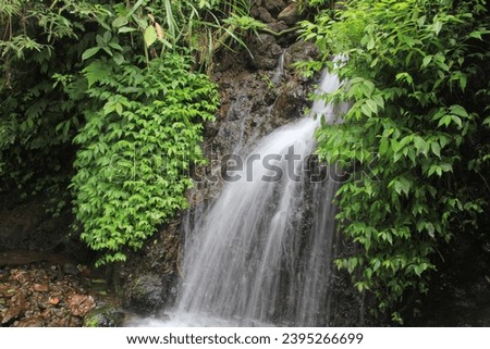 the waterfall's slow descent with a prolonged exposure, creating a harmonious blend of water and rock