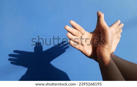 Shadow theater. A man's hand shows the figure of a dove. On the blue wall there is a shadow of a hand in the shape of a bird. Concept of freedom and peace.