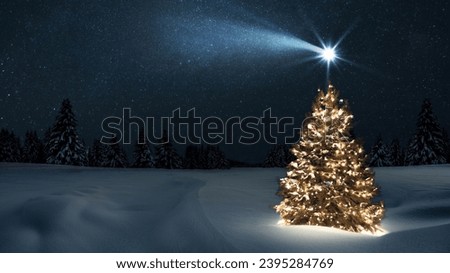 Beautiful festive Christmas tree with lights garlands in a snowy field with forest and star at Christmas night. New Year and Christmas card, The first star lit up in the winter forest.  Comet falls