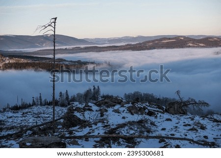 fog in winter mountains in morning