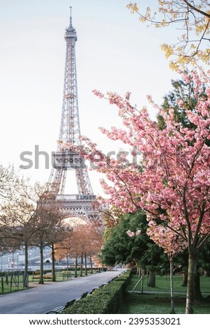
Cherry blossoms at the Eiffel Tower in Paris