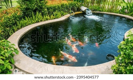 A fish pond containing cute and beautiful koi fish is located in the yard next to the house