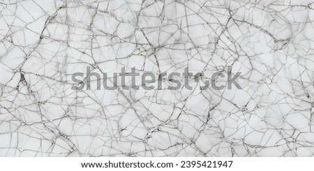 Natural white marble stone texture for background or tile for floor and decorative wallpaper design.