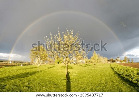 A shadow of a person taking a picture of a beautiful rainbow over the green meadow