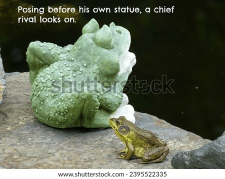 A funny captioned photo of a frog in a pond.