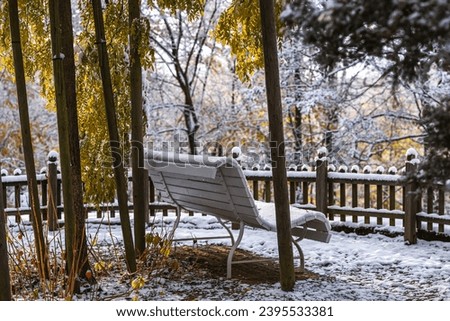 Snow-covered trees and benches in the city park. Beautiful winter day.