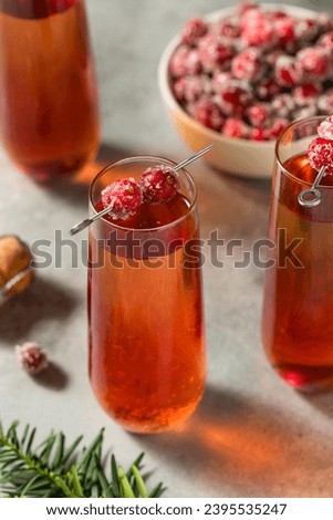 Boozy Bubbly Refreshing Cranberry Mimosa with Champagne