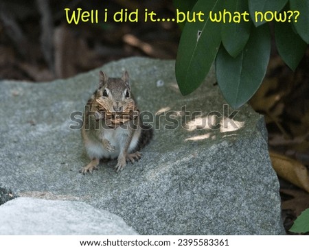 A funny captioned photo of a chipmunk with its cheeks full.