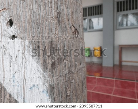 palm tree bark texture blurry object background