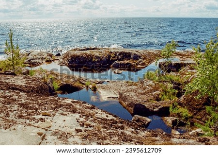 Rocky shores covered with wild plants on Lake Ladoga - film photo