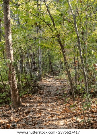 Wooded footpath strewn with fallen leaves in early autumn. Photographed in the Chattahoochee River National Recreation Area in Georgia. Royalty-Free Stock Photo #2395627417