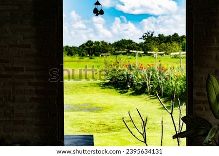 Close-up Photo of a Window with a Breathtaking Natural View. Ideal as a Design Element or Background Image.