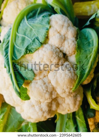 vegetable picture. Picture of cauliflower closeup look
