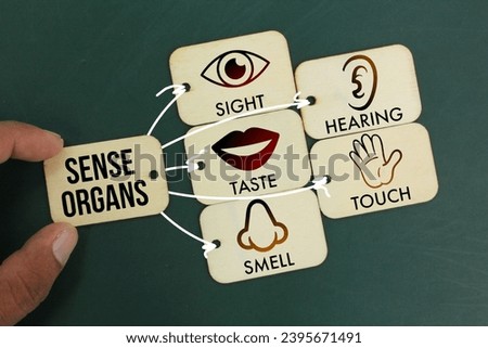 Wooden with five Sense organs icons namely sight, hearing, smell, teste and touch. basic 5 human senses Royalty-Free Stock Photo #2395671491