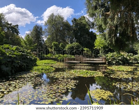 A day in the beautiful Royal Tasmanian Botanical Gardens. Royalty-Free Stock Photo #2395711909