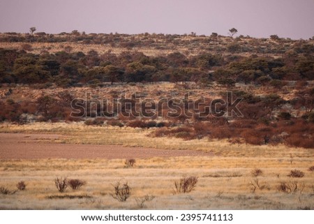 African landscapes in national parks (Zimbabwe, Botswana, Zambia, Namibia, South Africa) 