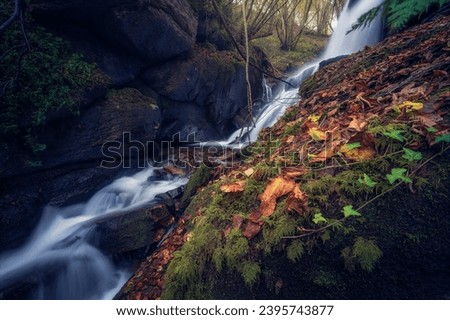 DIAGONAL OF THE WATERFALL IN AUTUMN Royalty-Free Stock Photo #2395743877