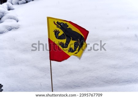 Flag of Swiss Canton of Bern waving outdoors in garden on a snowy autumn morning. Photo taken December 2nd, 2023, Zurich, Switzerland.