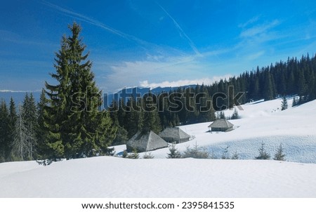 Three wooden Sheepfolds standing in snow. The old structures are still used for sheep grazing. Behind, a spruce forest covers the rocky crests of a mountain peak. Winter, Carpathia.  Royalty-Free Stock Photo #2395841535