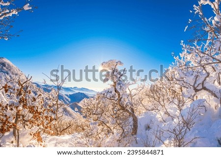 winter view and
Snow flowers at Deogyusan National Park. Muju Resort at Deogyusan Mountain, South Korea.