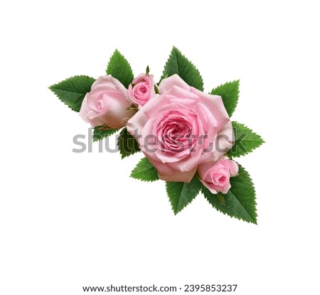 Pink rose flowers with green leaves in a floral corner arrangement isolated on white