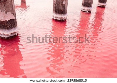 The pink lake is a beautiful landscape, unusual nature. A unique rare natural phenomenon. Salt lake with pink algae. Beautiful landscape. Royalty-Free Stock Photo #2395868515