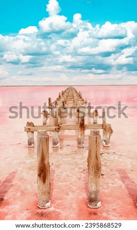 The pink lake is a beautiful landscape, unusual nature. A unique rare natural phenomenon. Salt lake with pink algae. Beautiful landscape. Royalty-Free Stock Photo #2395868529