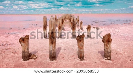 The pink lake is a beautiful landscape, unusual nature. A unique rare natural phenomenon. Salt lake with pink algae. Beautiful landscape. Royalty-Free Stock Photo #2395868533