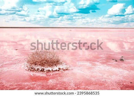 The pink lake is a beautiful landscape, unusual nature. A unique rare natural phenomenon. Salt lake with pink algae. Beautiful landscape. Royalty-Free Stock Photo #2395868535