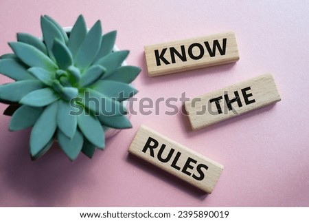 Know the rules symbol. Wooden blocks with words Know the rules. Businessman hand. Beautiful pink background with succulent plant. Business and Know the rules concept. Copy space.
