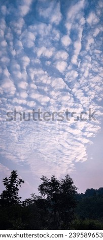 selective focus picture of a bunch of clouds in sunset sky