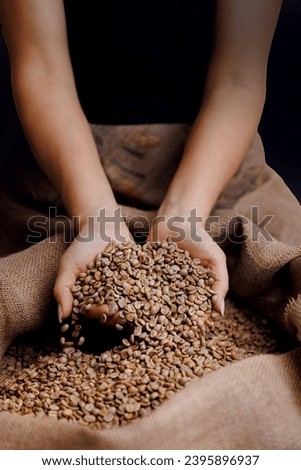 Professional worker hold green coffee beans on background jute bag in warehouse. Concept roaster factory for espresso. Royalty-Free Stock Photo #2395896937