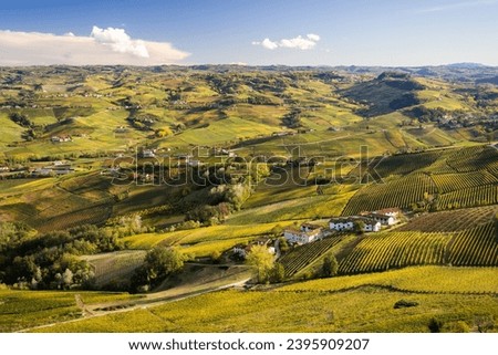 Vineyard landscape in the Langhe. It is a hilly area in Piemonte (Piedmont - Italy) Royalty-Free Stock Photo #2395909207