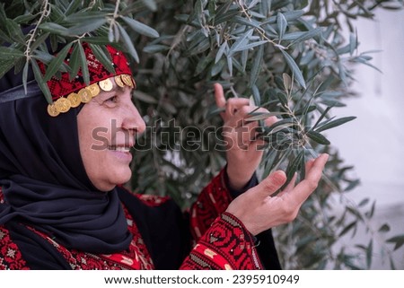 Portrait Of woman wearing palestinian traditional clothes in olive trees field holding branch in her hand with smile on her face Royalty-Free Stock Photo #2395910949