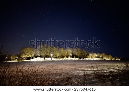 A winter landscape with stars