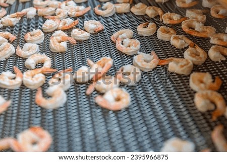 View of tasty prawns in factory, Hau Giang, Vietnam
