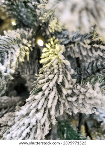 The picture shows the inspiration of the Christmas celebration atmosphere which is translated through abstract photography techniques mood, depth of field, closed up. Suitable for online and offline.