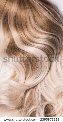 The Beautiful, shiny and healthy blond highlights on the natural light brown hair, isolated on white