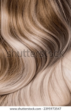 The Beautiful, shiny and healthy dirty blond hair texture