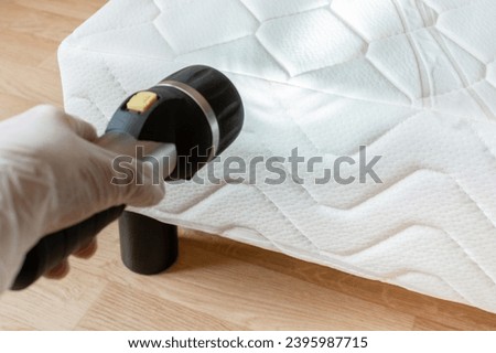 Checking for bedbugs on a box spring