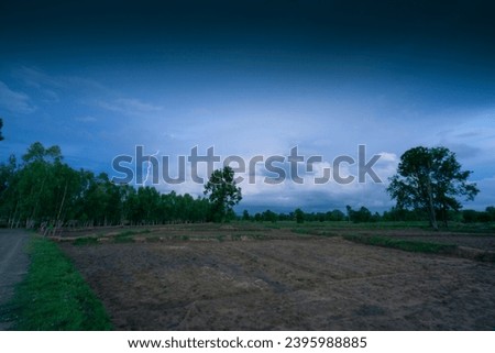 Rice field weather patterns and growing cycle through seasons tropical climate Asia
